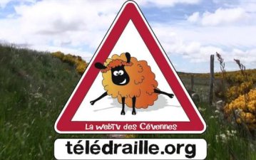 Télédraille